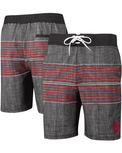 G-III 4Her by Carl Banks St. Louis Cardinals Horizon Volley Swim Trunks - Multicolor