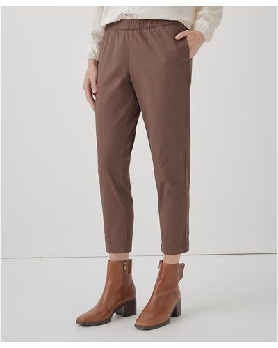 Pact Organic Cotton Boulevard Brushed Twill Pull-on Pant - Brown