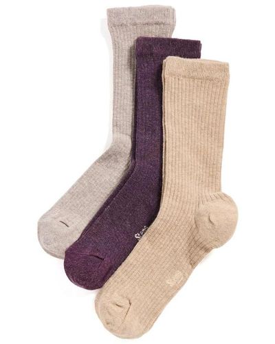 Stems Eco Conscious Cashmere Socks Box Of Three - Purple