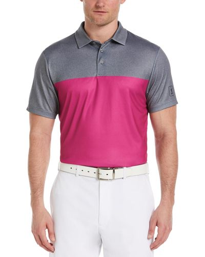 PGA TOUR Airflux Colorblock Short-sleeve Golf Polo Shirt - Pink