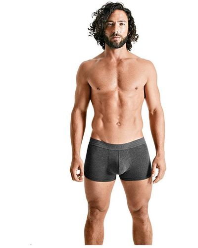 Rounderbum Padded Boxer Trunk + Smart Package Cup - Multicolor
