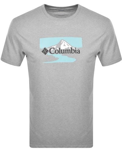Columbia Path Lake Graphic T Shirt - Gray