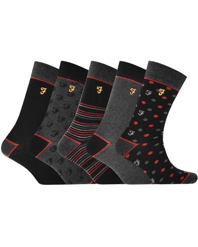 Farah Fonda 5 Pack Socks - Black