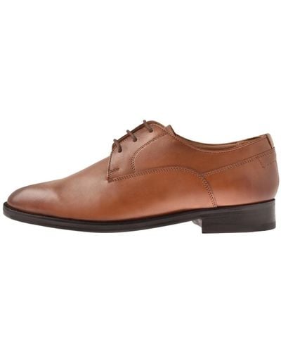 Ted Baker Kampten Shoes - Brown