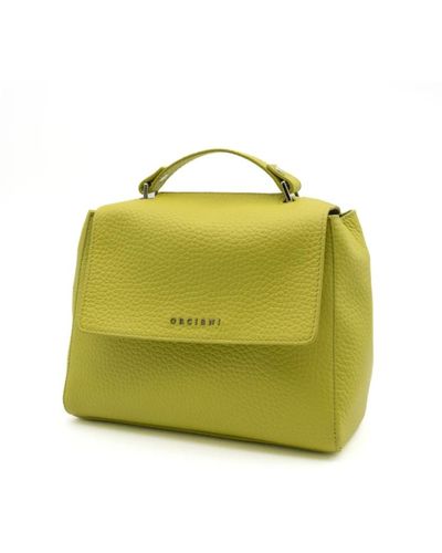 Orciani Bags > handbags - Vert