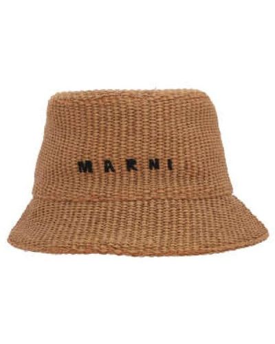 Marni Hats - Brown