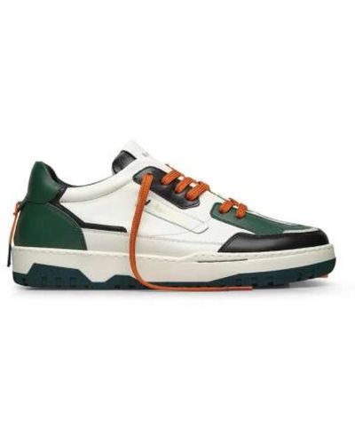Barracuda Sneakers - Green