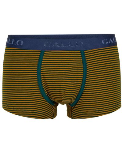 Gallo Underwear > bottoms - Vert
