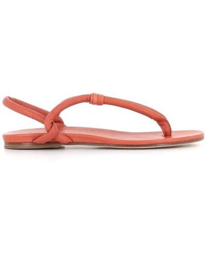 Roberto Del Carlo Shoes > sandals > flat sandals - Rouge