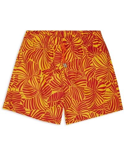 Gallo Swimwear > beachwear - Orange