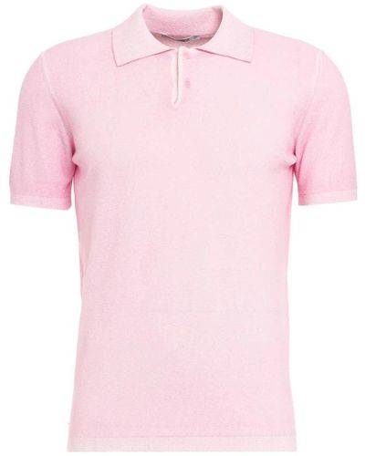 Kangra Polo Shirts - Pink