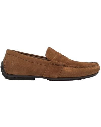 Polo Ralph Lauren Shoes > flats > loafers - Marron