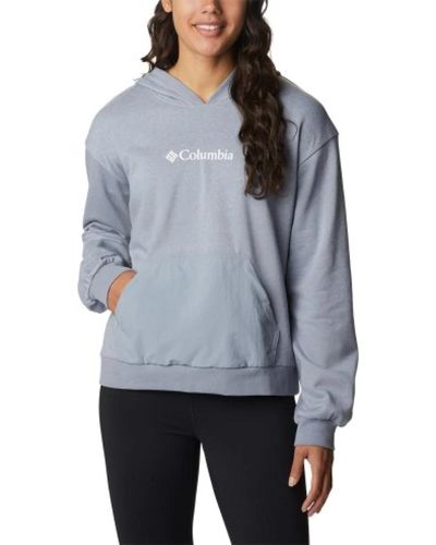 Columbia Sweatshirts & hoodies > hoodies - Gris