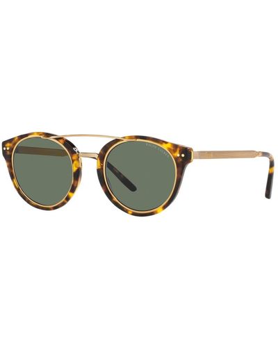 Ralph Lauren Rl 8210 sonnenbrille in havana/braun