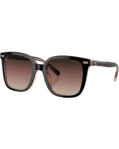COACH Accessories > sunglasses - Marron