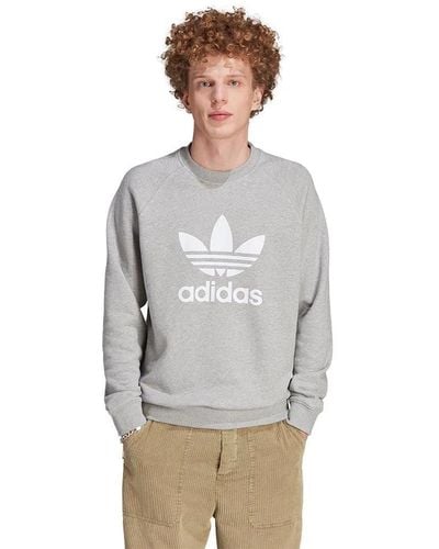 adidas Sweatshirts & hoodies > sweatshirts - Gris