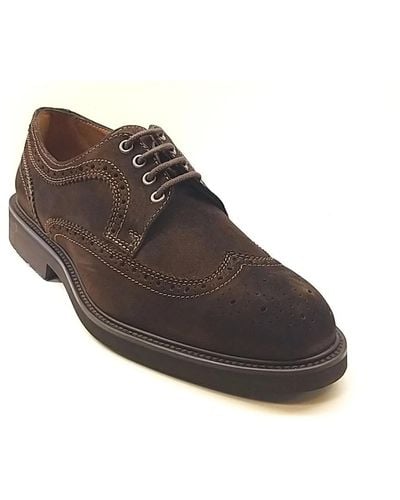 Lottusse Laced Shoes - Brown