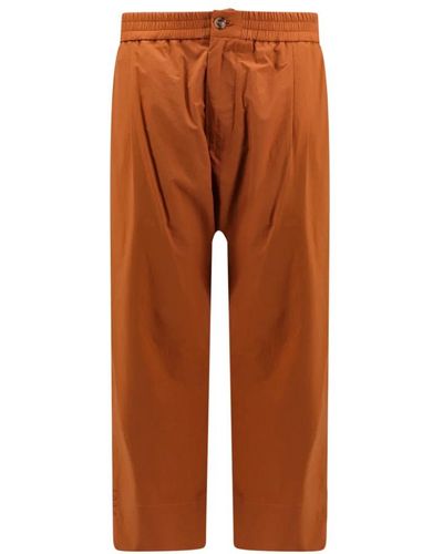 Amaranto Straight Trousers - Brown