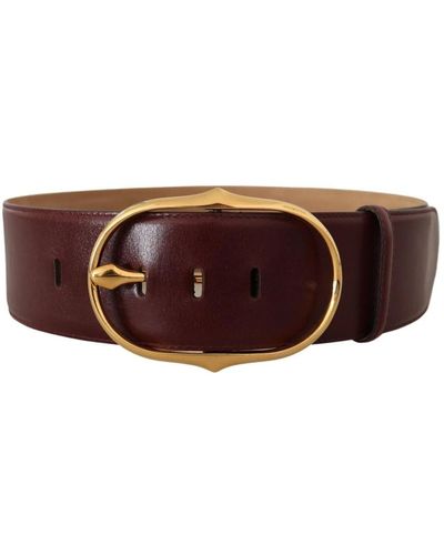 Dolce & Gabbana Dark Brown Leather Gold Metal Buckle Belt