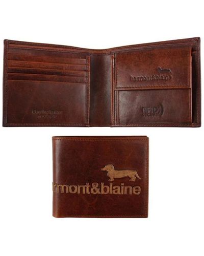 Harmont & Blaine Accessories > wallets & cardholders - Marron