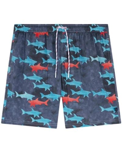 Paul & Shark Costume da bagno con stampa shark - Blu