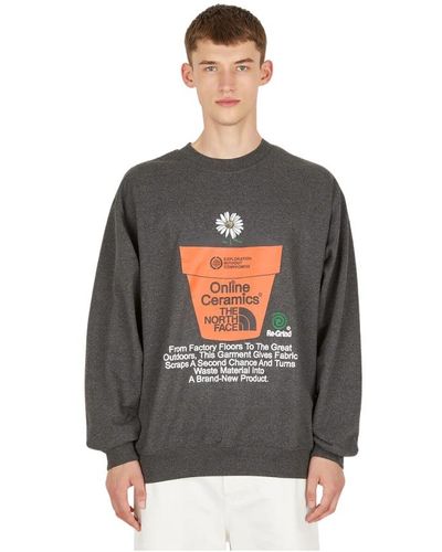 The North Face Sweatshirts & hoodies - Grau