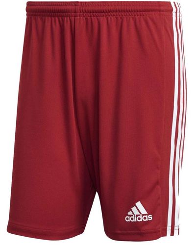 adidas Squad 21 rote shorts