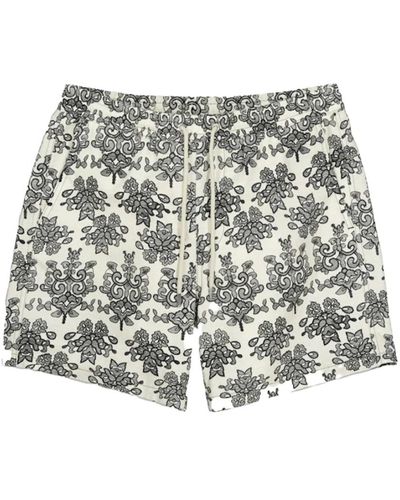 NN07 Shorts > short shorts - Multicolore