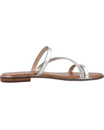 Geox Flat sandals - Grau