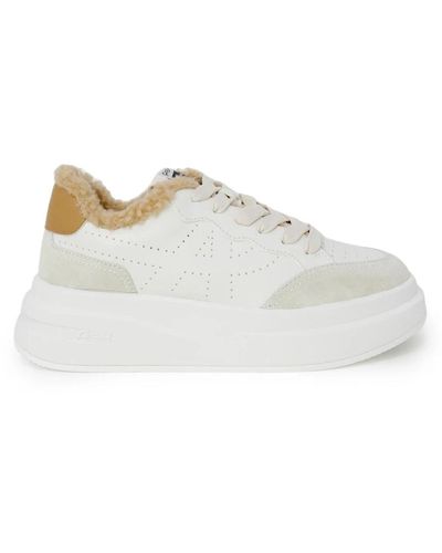 Ash baskets clearance femme