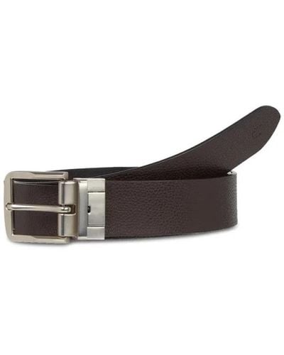 Calvin Klein Belts - Brown
