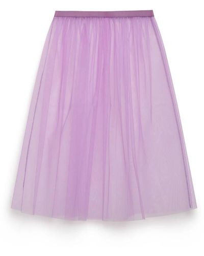 Maliparmi Skirts > short skirts - Violet