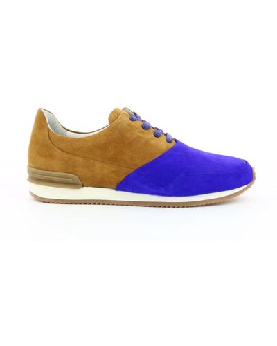 Piola Shoes > sneakers - Bleu