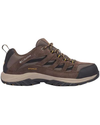 Columbia Trail scarpe da trekking impermeabili leggere - Marrone