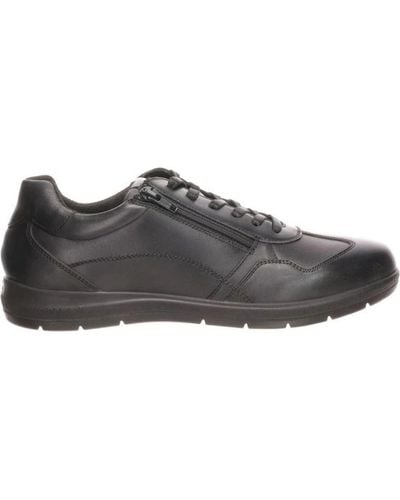 Ara - Men's Luca Knitted Sneaker