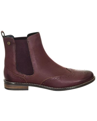 Superdry Ankle boots - Braun