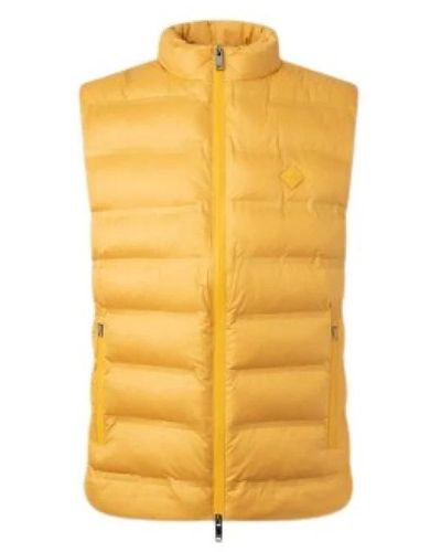 Hackett Jackets > vests - Jaune