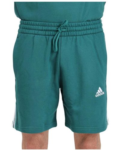 adidas Shorts > casual shorts - Vert