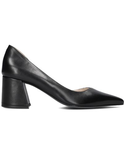 Stefano Lauran Shoes > heels > pumps - Noir