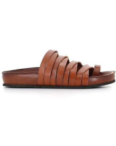 Pantanetti Shoes > flip flops & sliders > sliders - Marron