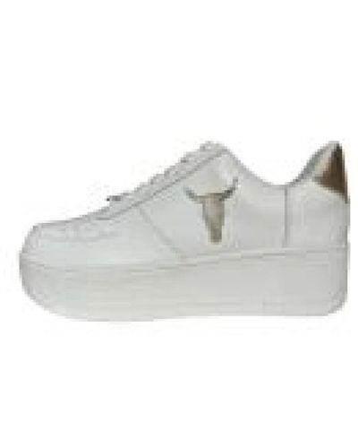 Windsor Smith Zapatillas blanco+oro reptil - Gris