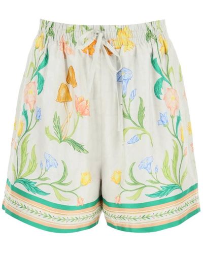 Casablanca Shorts > short shorts - Vert