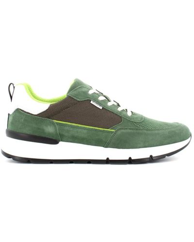 Nero Giardini Sneakers - Verde
