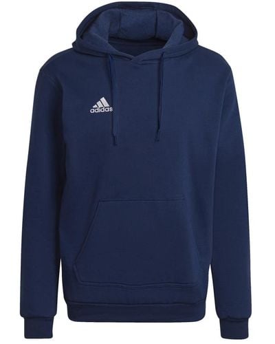 adidas Ent22 hoody tenabl blaues sweatshirt