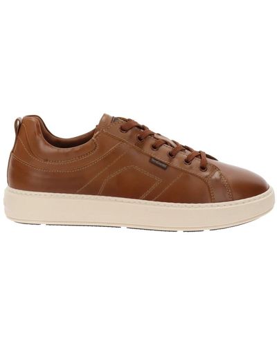 Nero Giardini Sneakers - Brown