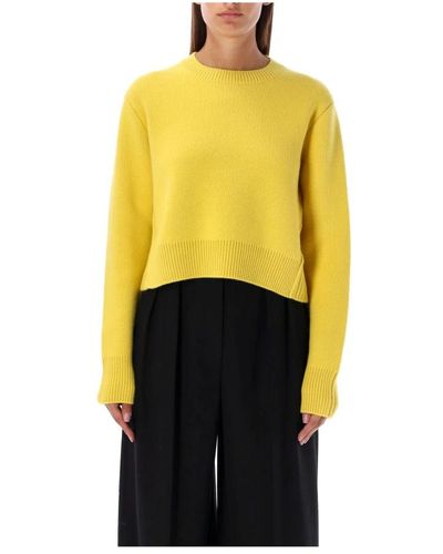 Lanvin Round-Neck Knitwear - Yellow