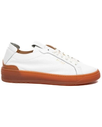 Stokton Shoes > sneakers - Blanc