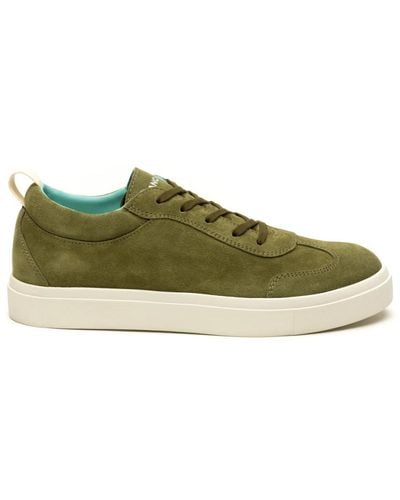 Pànchic Shoes > sneakers - Vert