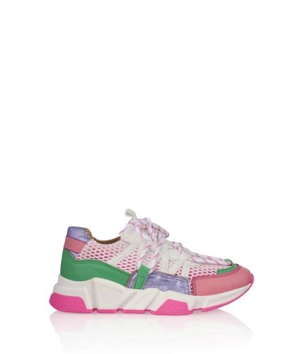 Dwrs Label Trainers - Pink