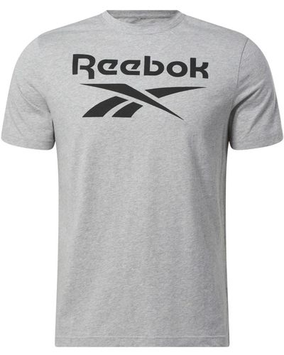 Reebok Ri big stacked t-shirt - Grau